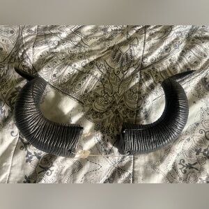 Maleficent horns costume